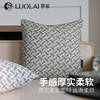 罗莱软装 典雅抱枕 45*45cm 商品缩略图1