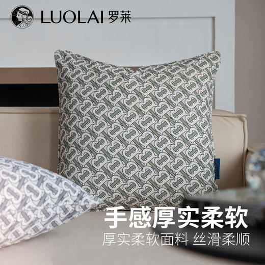 罗莱软装 典雅抱枕 45*45cm 商品图1