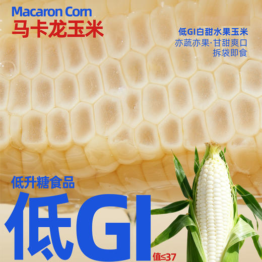 微玉 马卡龙玉米 低脂代餐粗粮香甜糯玉米真空包装 1.2kg 商品图1