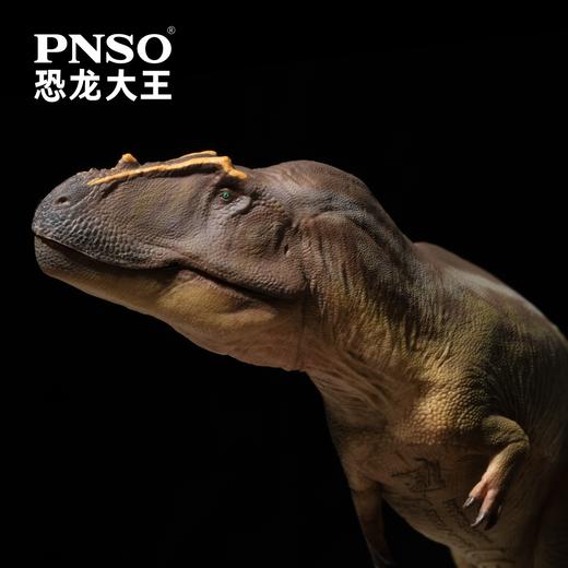 PNSO塔梅里盗龙梅尔恐龙大王成长陪伴模型95 商品图3