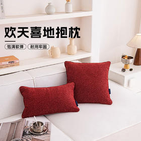 罗莱软装  欢天喜地抱枕 30*50cm