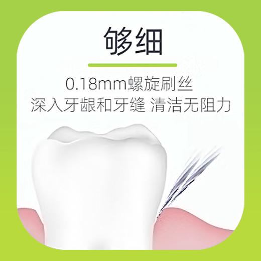 4支 双莲莲花手柄成人牙刷  A-5484 商品图10