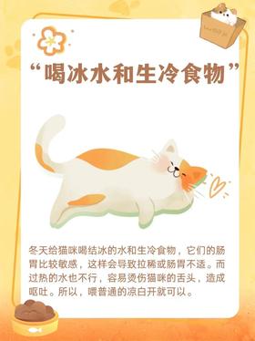 小猫过冬须知