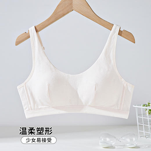 2025少女文胸DYW5502 商品图1