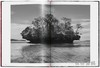 Sebastiao Salgado. Genesis / 塞巴斯蒂昂·萨尔加多. 创世纪 小开本摄影集 / Taschen Pocket Books系列 商品缩略图4
