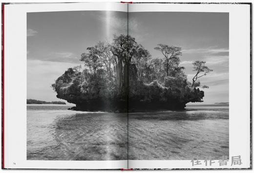 Sebastiao Salgado. Genesis / 塞巴斯蒂昂·萨尔加多. 创世纪 小开本摄影集 / Taschen Pocket Books系列 商品图4