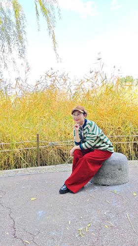 闪照第479期 对望