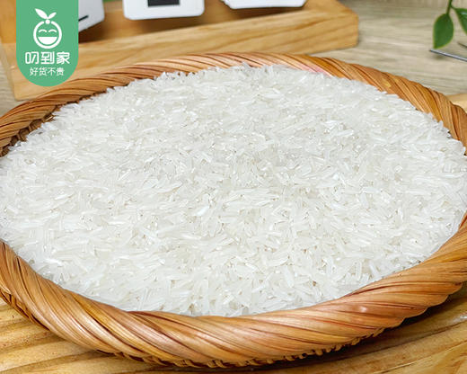 【预售-12月29日配送】国福秋田金丝米/1份（400g*4包）生产日期：25年10月 商品图1