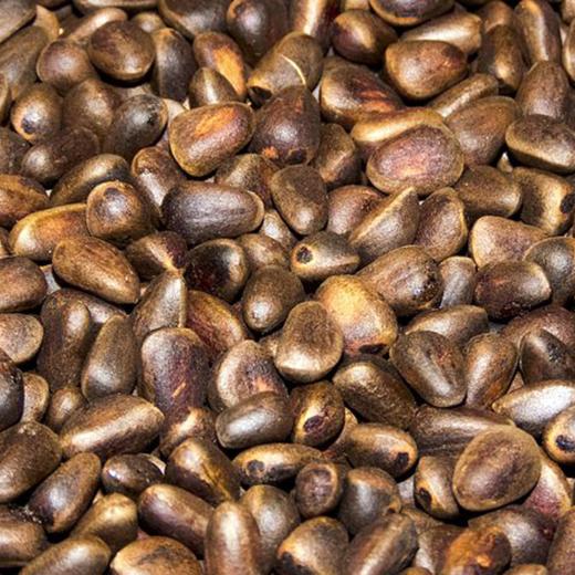 心选丨小兴安岭开口松子500/袋（配开口钳）休闲食品坚果零食 商品图2