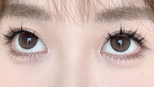 Laseecon年抛·温柔麦田·14.5mm中等着色·韩产2片 商品图9