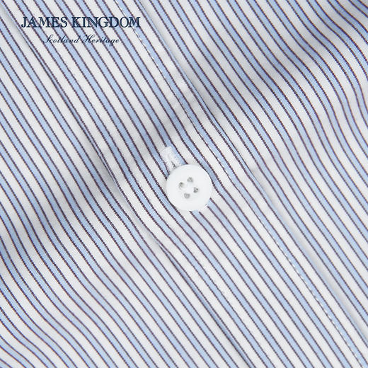 【碳素磨毛】春季新款保暖衬衫男士长袖高级碳素磨毛商务休闲条纹保暖衬衫 商品图2