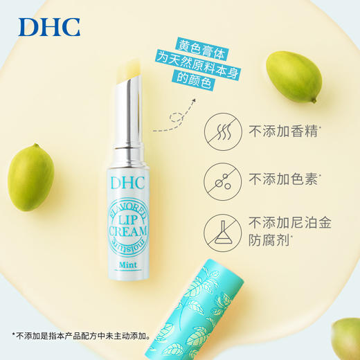DHC 蝶翠诗 植物香氛护唇膏 薄荷味 1.5g 商品图2