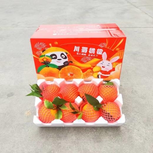 【CHUAN】爱媛果冻橙【精品果】中果5斤  顺丰快递（65-70mm ） 商品图1