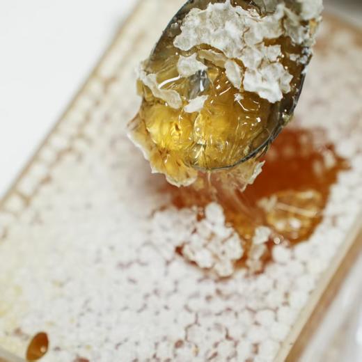 【双十一活动：买3斤 送2袋人参豆浆粉】长白山原始森林蜂巢蜜 商品图3