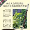 澳澌漫乌斯玛草系列植物染发粉/睫毛膏/养发皂/生眉笔 商品缩略图3