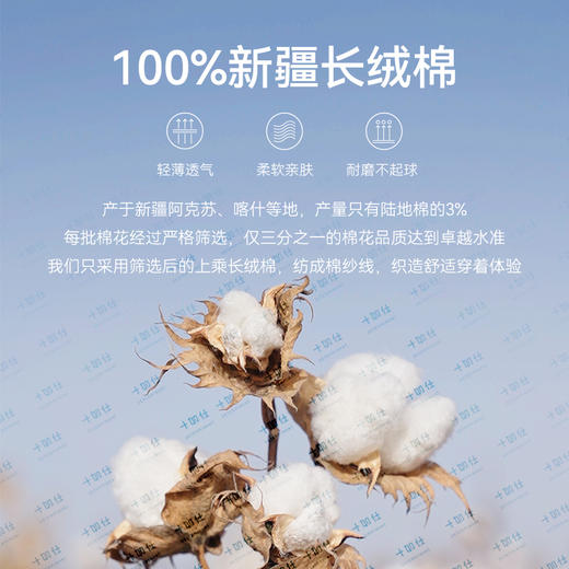 十如仕50支水柔棉圆领短袖T恤-T10-01 商品图11