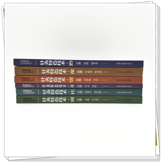 【全6册】针灸特色技术全集（黔 豫 鄂 赣 桂 湘）中医适宜技术丛书 中国中医药出版社 针灸学 临床医案 书籍 商品图1