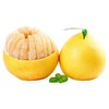 福建白心蜜柚大果 商品缩略图1