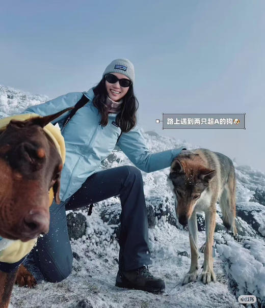 正品攀山鼠高端P200抓绒保暖可触屏手套8110403 商品图10