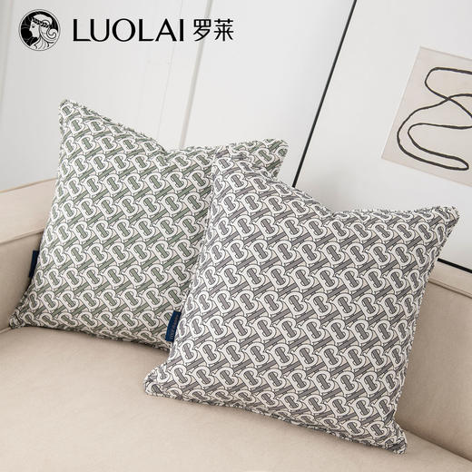 罗莱软装 典雅抱枕 45*45cm 商品图5