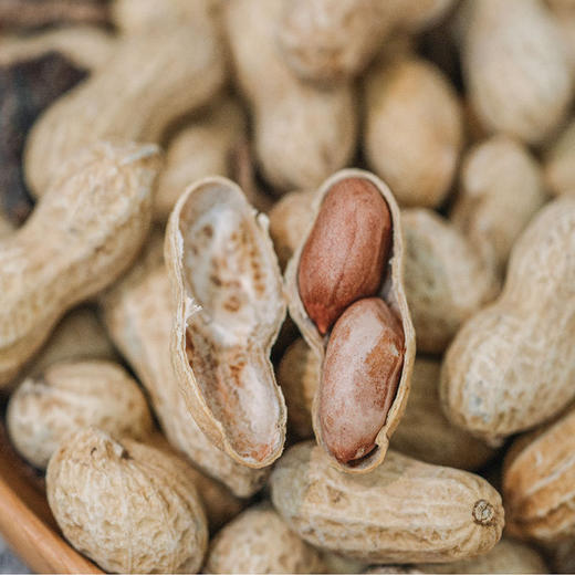 爆款回归！！【荐见定制·9年新会陈皮花生】龙岩珍珠花生 含50g即食陈皮 商品图2