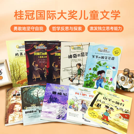 【礼盒装】桂冠“国际大奖儿童文学”系列  （全10册）每一本都有大奖在身  激发孩子独立思考能力 商品图9