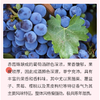 【河北农垦】斯洛伐克经典系列赤霞珠干红葡萄酒750ml 商品缩略图3
