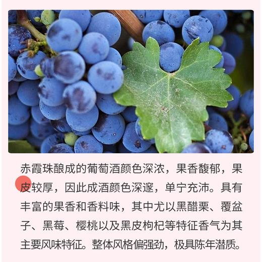 【河北农垦】斯洛伐克经典系列赤霞珠干红葡萄酒750ml 商品图3
