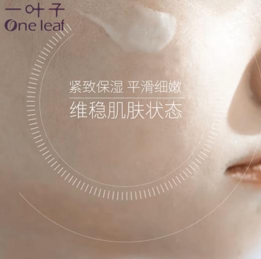 一叶子紧致修护面霜50g新款-1703 紧致补水 商品图7