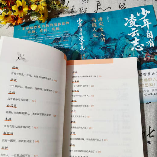 少年自有凌云志：唐宋诗人的高能人生 大圣 著 商品图5