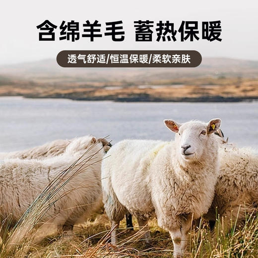 占姆士套头卫衣秋冬新款绵羊毛圆领纽扣款圆领加绒卫衣套头上衣 商品图2