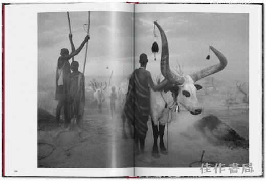 Sebastiao Salgado. Genesis / 塞巴斯蒂昂·萨尔加多. 创世纪 小开本摄影集 / Taschen Pocket Books系列 商品图3