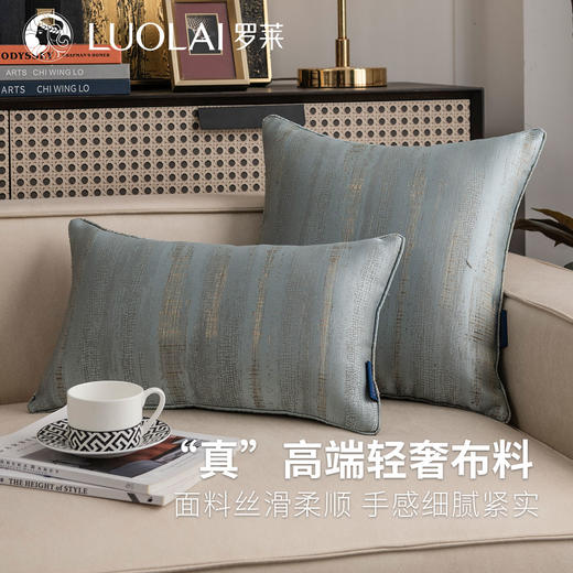 罗莱软装 光落冰峰抱枕 商品图0