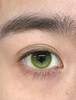 isoralook日抛一盒十片 高光定轴款 商品缩略图1