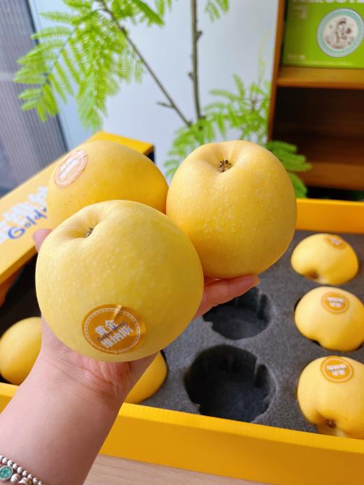 新疆阿克苏黄金维纳斯 高甜浓香型苹果 现摘现发 商品图14