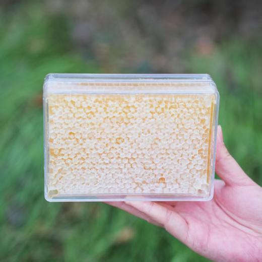 【双十一活动：买3斤 送2袋人参豆浆粉】长白山原始森林蜂巢蜜 商品图0