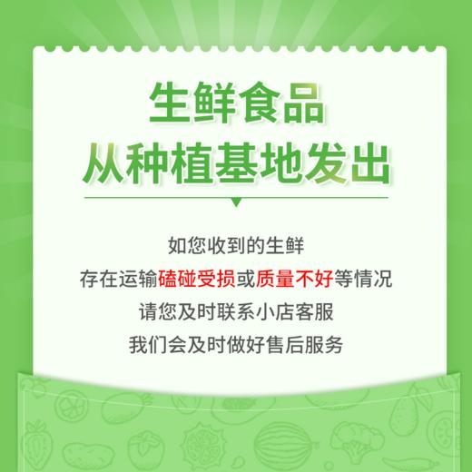 郭苹果霜降阳光丑苹果  自然农法四不用种植水果5斤/8斤装【京东/顺丰快递】 商品图6