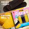 微玉 马卡龙玉米 低脂代餐粗粮香甜糯玉米真空包装 1.2kg 商品缩略图4