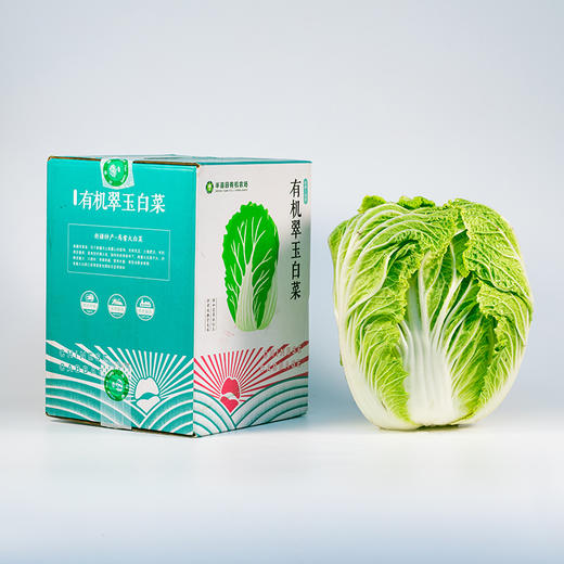 半亩园有机翠玉白菜 有机种植当季新鲜蔬菜 8斤装【京东/顺丰快递】 商品图0