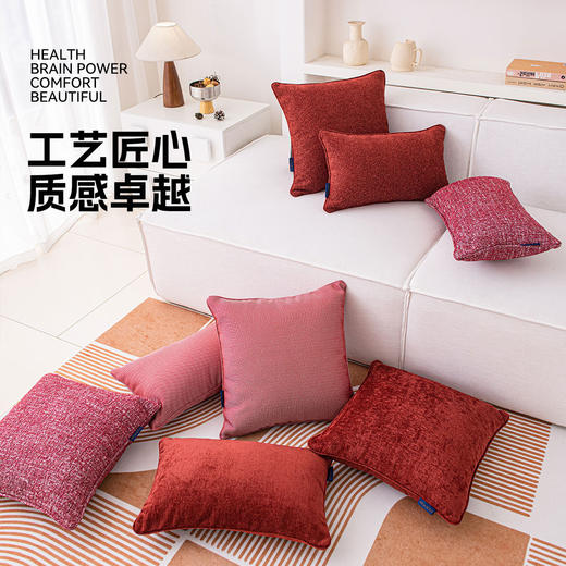 罗莱软装  欢天喜地抱枕 30*50cm 商品图5