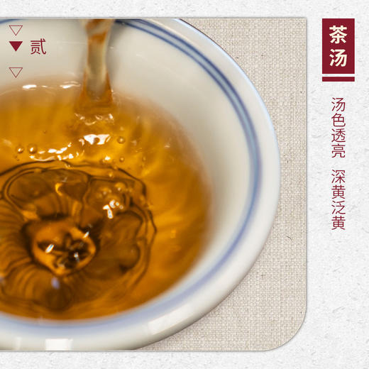 【山纯限品】2025年033赤霞岩赤霞洞老枞水仙17g 商品图3