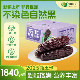 【农科玉】东北黑糯紫玉米软糯鲜香真空包装8根装每根230g