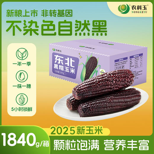 【农科玉】东北黑糯紫玉米软糯鲜香真空包装8根装每根230g 商品图0