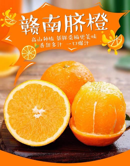 【2025新鲜采摘 】赣南脐橙 高山种植 汁水饱满丰盈 商品图0