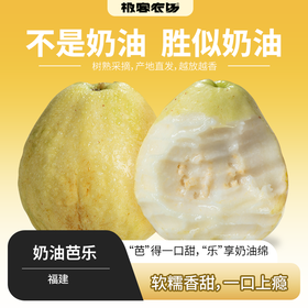 树熟奶油芭乐丨口感香甜，树熟采摘发货，外硬里面是软糯的，越放越香，喜欢吃软的可以放一放，⭐️顺丰/京东快递