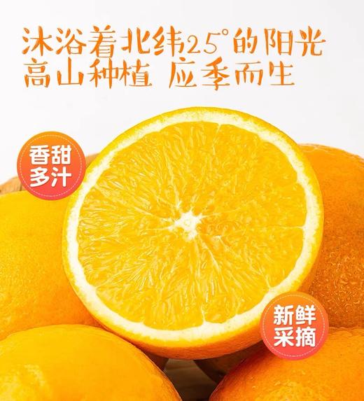 【2025新鲜采摘 】赣南脐橙 高山种植 汁水饱满丰盈 商品图2