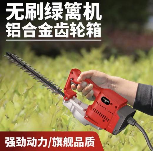 【HDXK】浩虎：6.0双电锂电绿篱机1个（配15节双电池） 商品图2