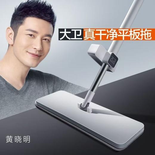 大卫 平板拖把P10 共2个配布 商品图0
