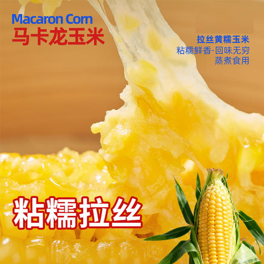 微玉 马卡龙玉米 低脂代餐粗粮香甜糯玉米真空包装 1.2kg 商品图2