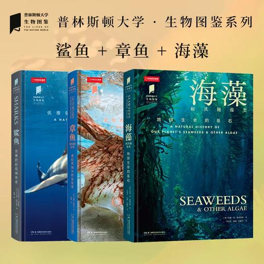 “普林斯顿大学生物图鉴”水生生物系列3本：鲨鱼 章鱼 海藻  海洋水生生物头足类 图鉴自然百科科普图书 商品图0